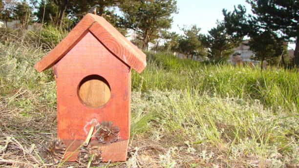 vogelhaus.
vogelhaus, vogelhaus.
spatzenhaus an land im park.
vögel, tiere, tiere, wildtiere, wilde natur, garten - birdhouse animal nest house residential structure stock-fotos und bilder