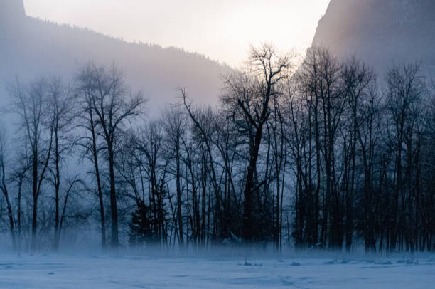 istock Misty Winter evening in yostemite valley 1367389411