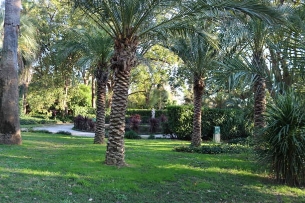 istock Genova Nervi green park 1367390390