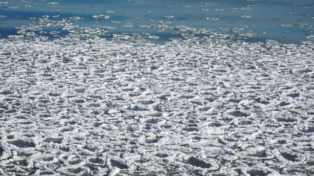 istock Pancake Ice Near Lake Michigan Shoreline 1367393049