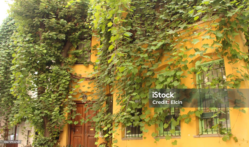 yellow, historical, old house with trees in kuzguncuk, Istanbul. yellow, historical, old house  with trees in kuzguncuk, Istanbul. Architecture Stock Photo