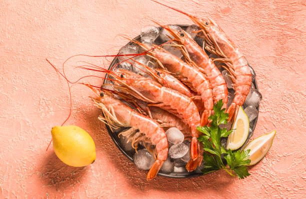 istock Shrimps ocean king shrimps copy space background. 1367394600