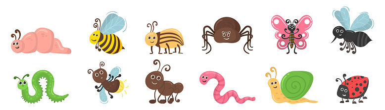 Zippy Insect Cute Insect Characters Bug Worm Beetle Flat Stock Illustration ...