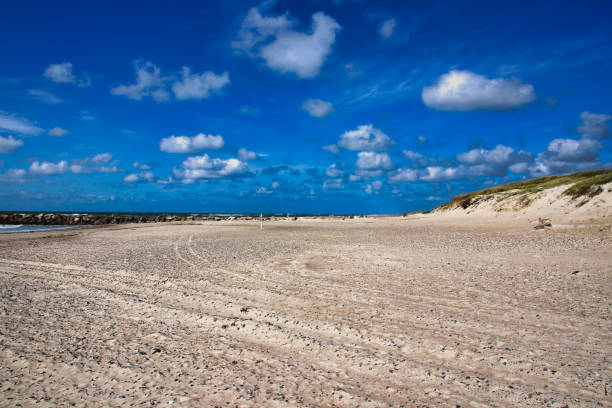istock North Sea beach and dunes in Denmark 1367396996