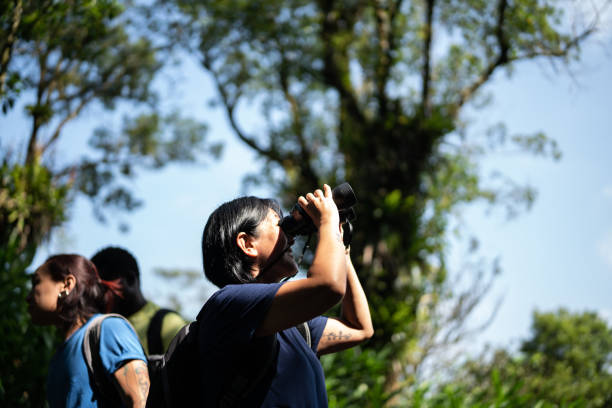 Mature woman watching nature with binoculars