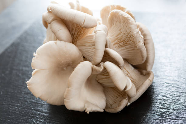 istock oyster mushroom on black slate 1367397107