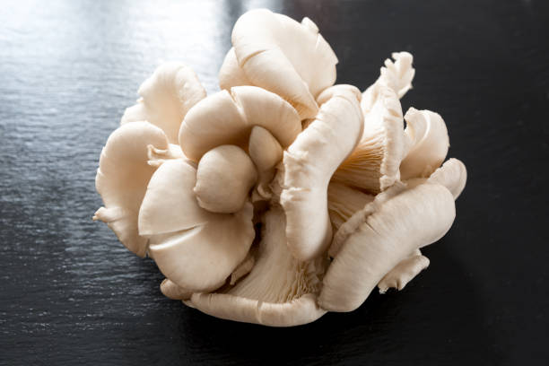 istock oyster mushroom on black slate 1367397236