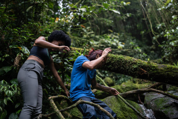istock Friends hiking in the forest 1367397290