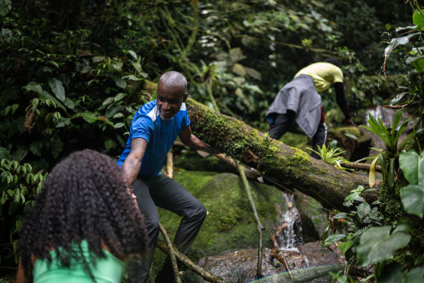 istock Friends hiking in the forest 1367397300
