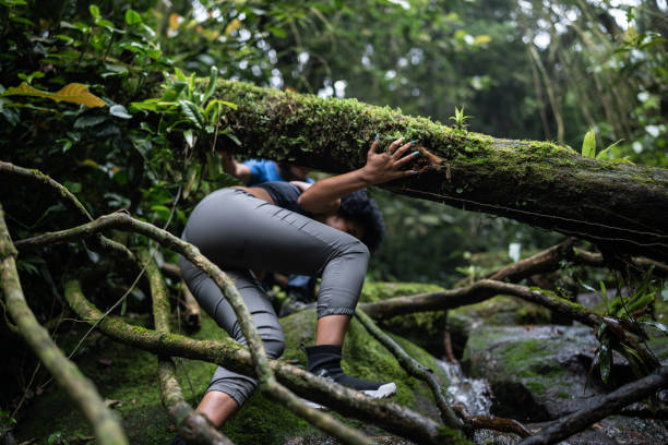 Young woman hiking in the forest