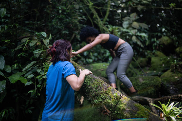 istock Friends hiking in the forest 1367397337