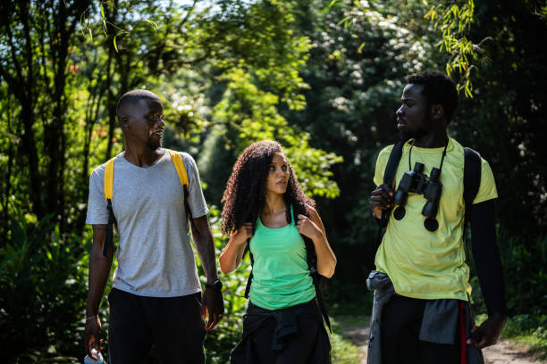 istock Friends hiking in the forest 1367397353