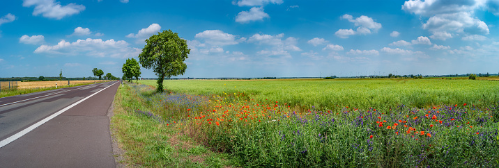 Panoramic view over beautiful farm landscape with wheat field, red poppy flowers, wind turbines to produce green energy and highway road in Germany, Summer, at sunny day and blue sky