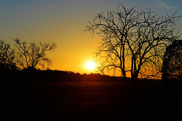 Sunset Photography