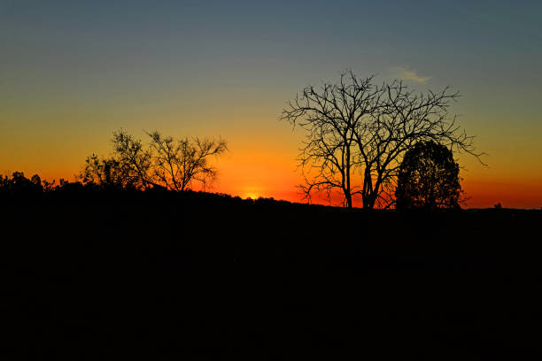 Sunset Photography