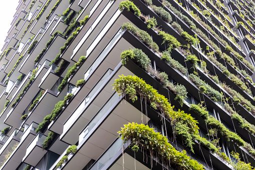 Low angle view of apartment building with vertical gardens, background with copy space, Green wall-BioWall or living wall is a wall covered with living plants on residential tower in sunny day, Sydney Australia, full frame horizontal composition