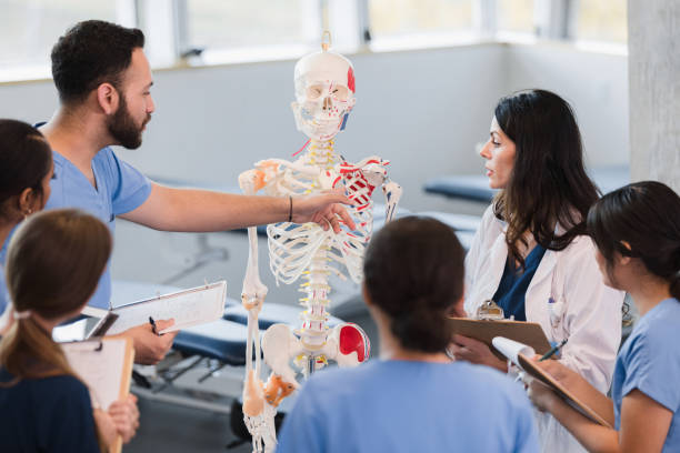 istock Male student asks female professor question about human skeletal system 1367402224