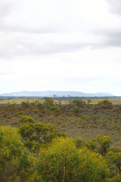 istock Horsham,  Victoria, Australia 1367404227