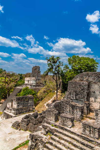 istock Ancient ruins in Tikal, Guatemala 1367405838