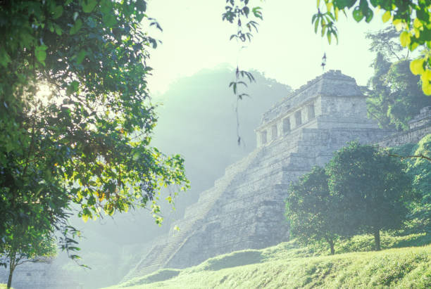 vista attraverso alberi lussureggianti fino al tempio maya - mayan temple old ruin ancient foto e immagini stock