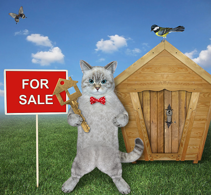 An ashen cat in a red bow tie holds a house key near a log cabin with a sign House for sale.
