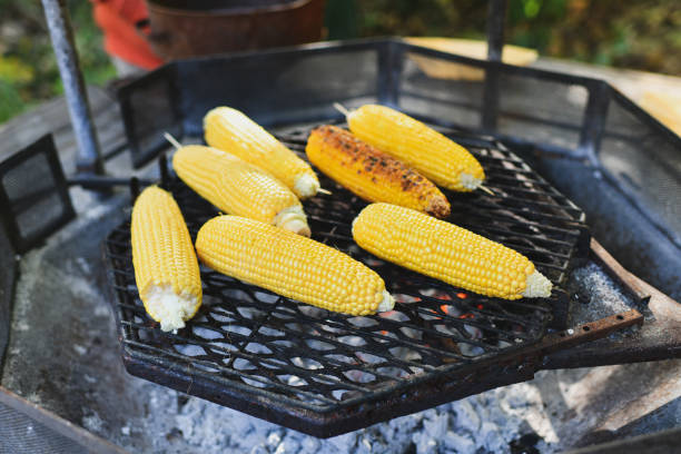 istock Grilled corns on the hot stove. Barbecue bbq 1367409327