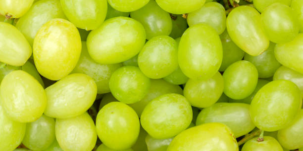 istock Green grapes grape fruits fruit background from above panorama 1367409537