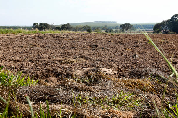 istock Plowed land ready for planting 1367410459