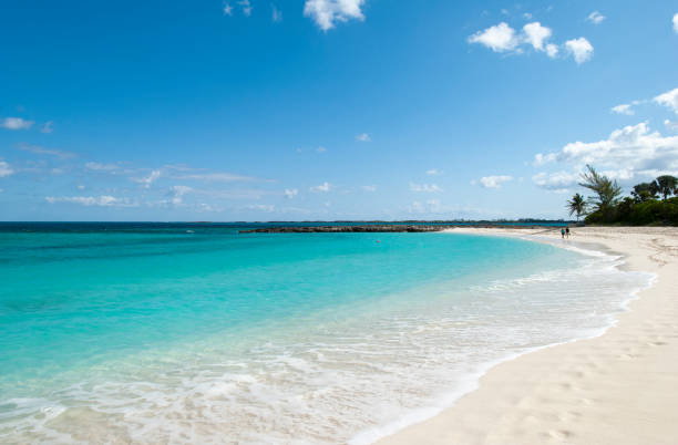 istock Paradise Island Colorful Cabbage Beach 1367416605
