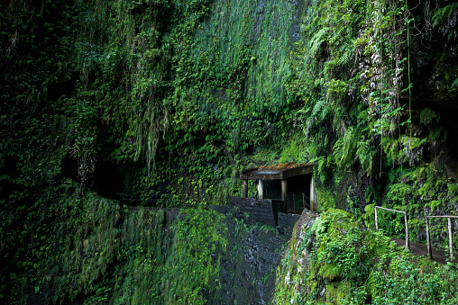 Small hut under a waterfall in a moss and fern covered rock cauldron at the “Levada da Ribeira de Janela”, one of the most picturesque levada hiking trails on Madeira, Portugal