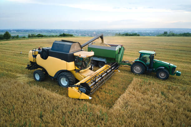 istock Aerial view of combine harvester unloading grain in cargo trailer working during harvesting season on large ripe wheat field. Agriculture and transportation of raw farm products concept 1367419641