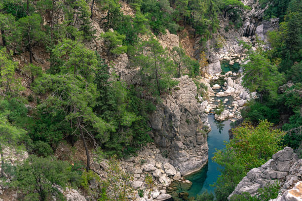 istock wooded mountain canyon with a river in a rocky bed, top view 1367421833