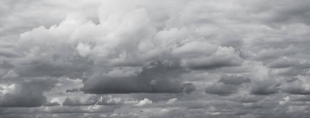istock Grey clouds background. Beautiful grey clouds panorama over horizon 1367422808