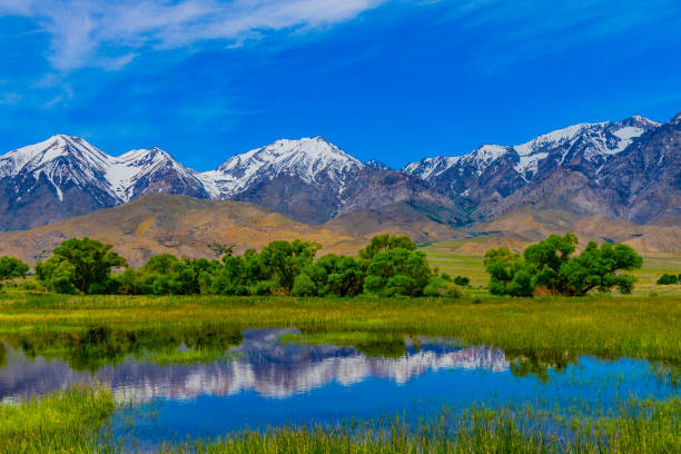 istock Owens Valley springtime with Californian Sierra Nevada in Inyo County, CA 1367426550