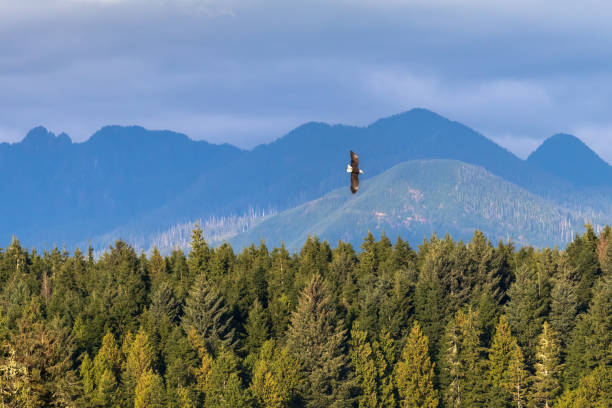 Tofino, British Columbia
