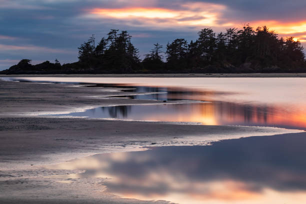 istock Pacific Rim National Park 1367428781