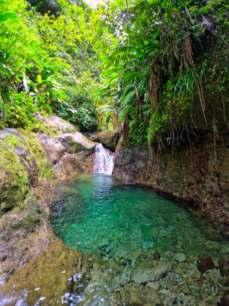 istock Alma river in Martinique 1367431784