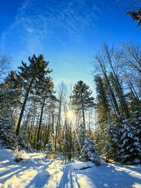 Beautiful winter shot