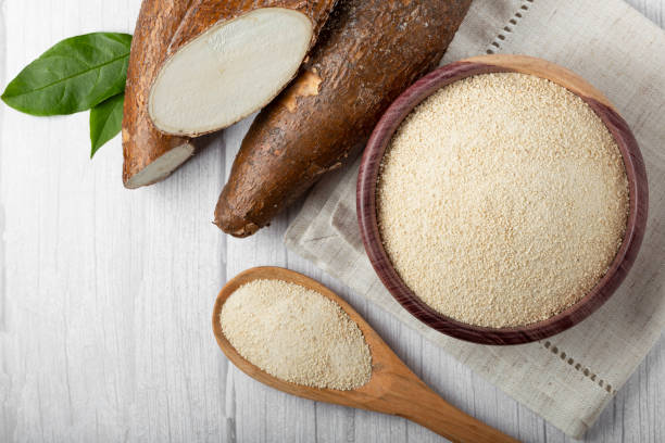 istock Cassava flour in the bowl. 1367434938