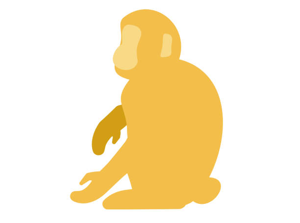 ilustraciones, imágenes clip art, dibujos animados e iconos de stock de ilustración vectorial de silueta de mono lateral - japanese macaque monkey isolated on white macaque