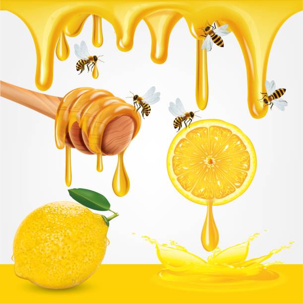 illustrations, cliparts, dessins animés et icônes de miel et citron tranché avec isolat de feuilles de citron sur fond blanc, illustration vectorielle - lemon portion citrus fruit juice