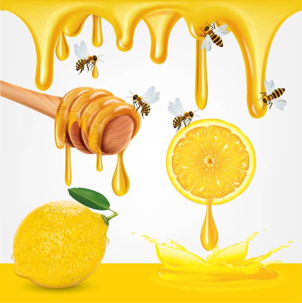 ilustrações de stock, clip art, desenhos animados e ícones de honey and sliced lemon with lemon leaves isolate on white background, vector illustration - activity animal bee beeswax