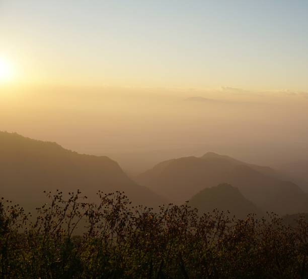 istock sunlight in country Thailand 1367445227