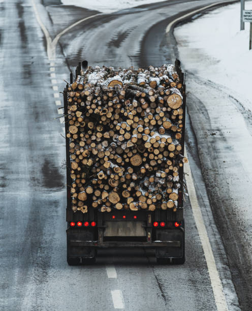 istock Logging Truck In Winter 1367448176