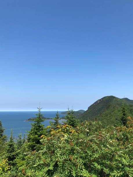 istock Mountains, forests and sea 1367455715