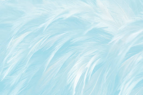 istock Beautiful Soft Blue Feathers Texture Vintage Background 1367463495