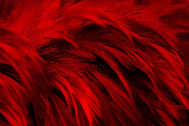 istock Beautiful Red Dark Feathers Texture Vintage Background 1367463499