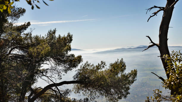 istock Umbrian landscape with fog 1367463629