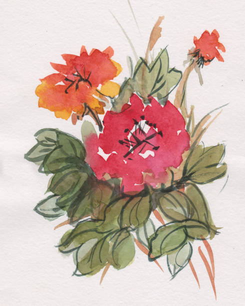 Bouquet of red peone Bouquet of red peone in summer,  sumi-e peone stock illustrations