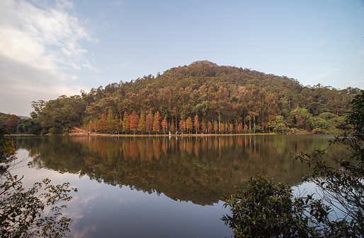 Lau Shui Heung Reservoir. Surrounded by thick forests,Visit during the colder months to enjoy colourful autumn foliage as the cypress leaves transition from yellow to burnt orange.